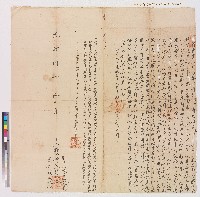 藏品(張愷記向陳宅立轉典字)的圖片